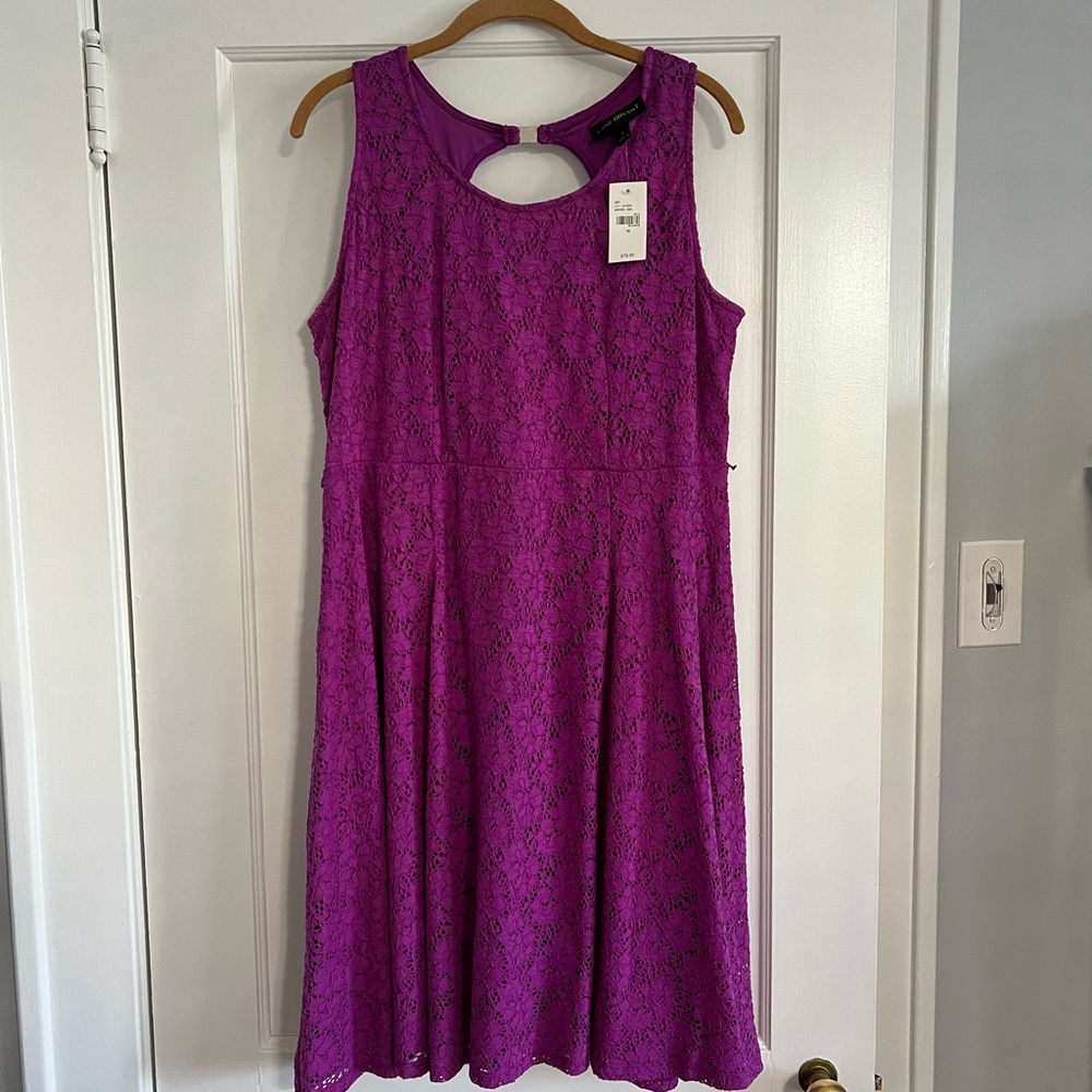 Lane Bryant Purple Lace Dress